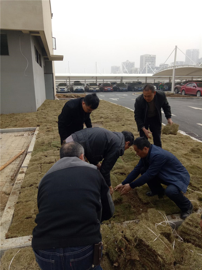 优德88(中国区)最新官方网站
