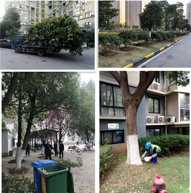 优德88(中国区)最新官方网站